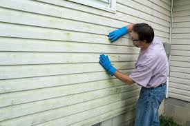 Affordable Siding Repair and Maintenance Services in #City